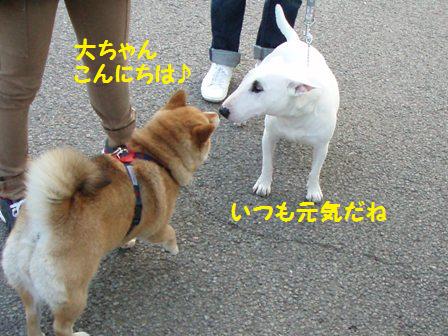 大ちゃんこんにちは?