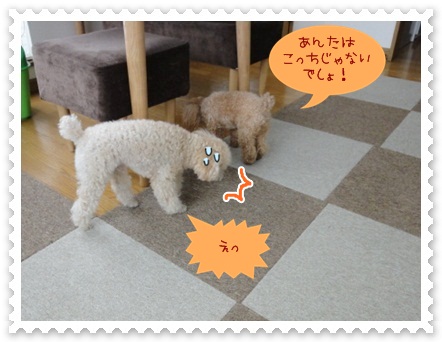 a10_20120525202311.jpg
