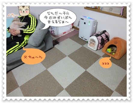 a13_20120514215332.jpg