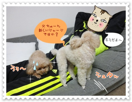 a8_20120425203418.jpg