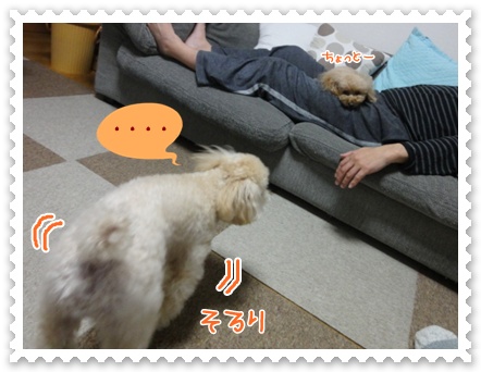 a8_20120429072825.jpg