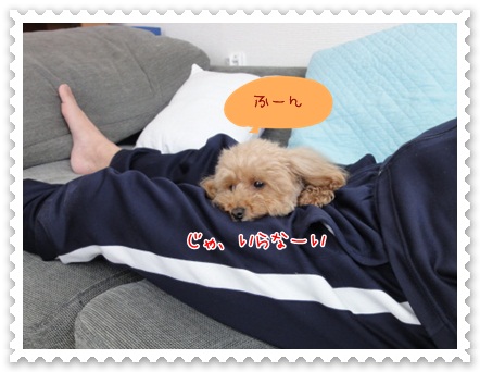 a8_20120531164243.jpg