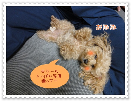 b10_20120607203902.jpg