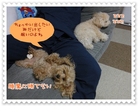 b13_20120607204023.jpg