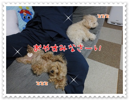 b18_20120607204019.jpg