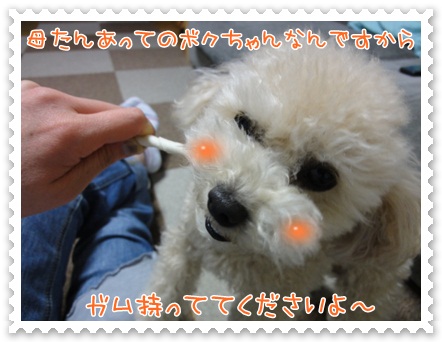 b19_20120519212702.jpg