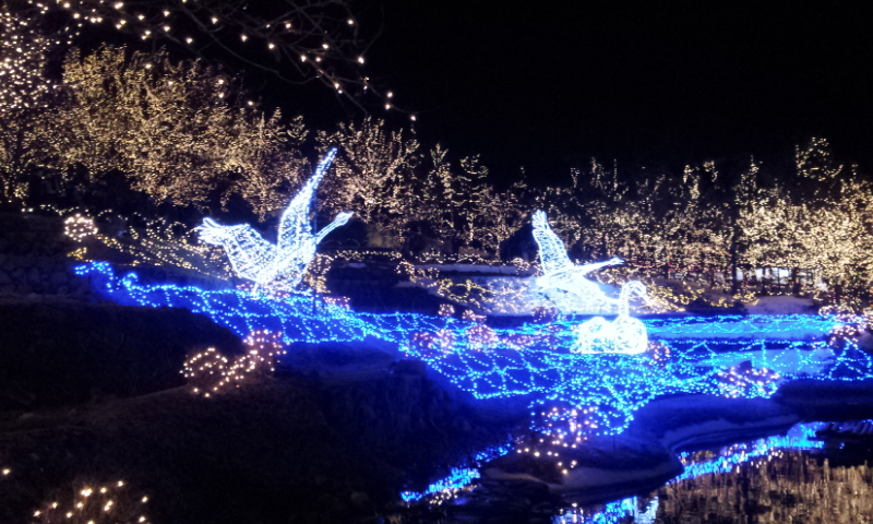 20130105_175054.jpg