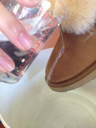 UGG SHORT 005