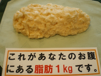 脂肪1kg