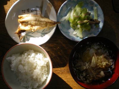 8月28日朝