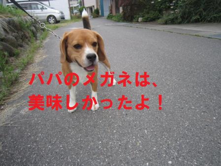 002_20120812165558.jpg