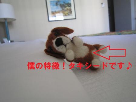 103_20120703190754.jpg
