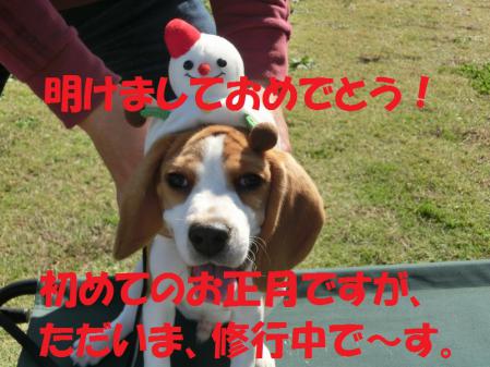 427_20130101121710.jpg