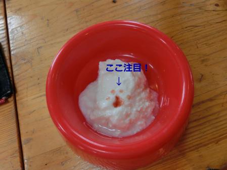 CIMG0900.jpg