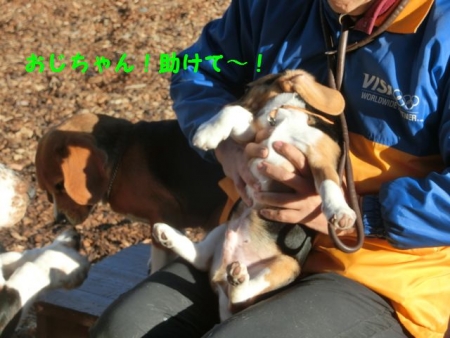CIMG7917.jpg
