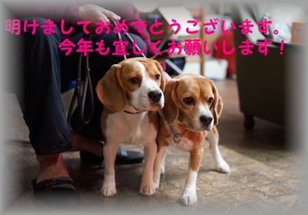 DSC01645-1.jpg
