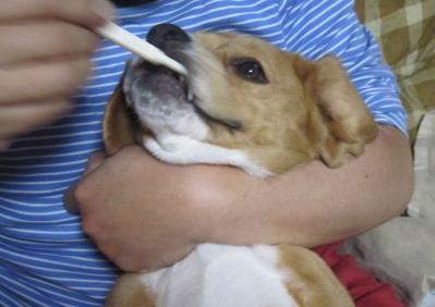 IMG_0001_20120501231043.jpg