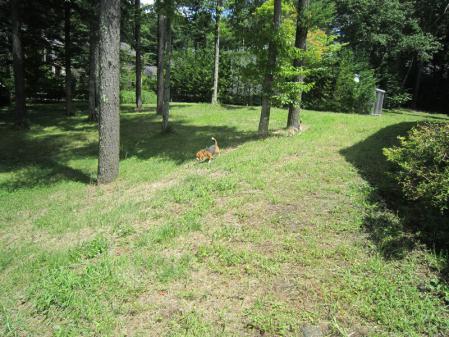 IMG_0007_20120821054013.jpg