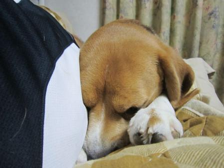 IMG_0010_20120902122123.jpg
