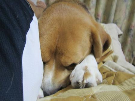IMG_0012_20120902122123.jpg