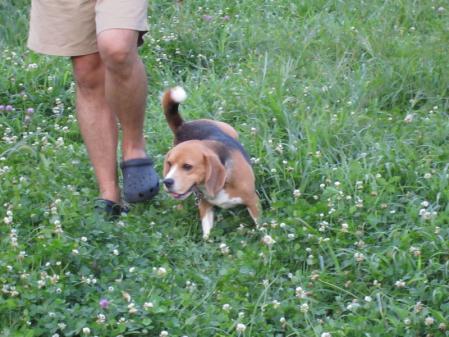 IMG_0018_20120903203131.jpg