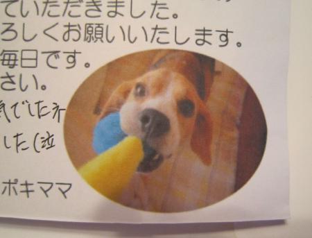 IMG_0024_20120905225953.jpg