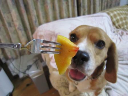 IMG_0025_20120830055820.jpg