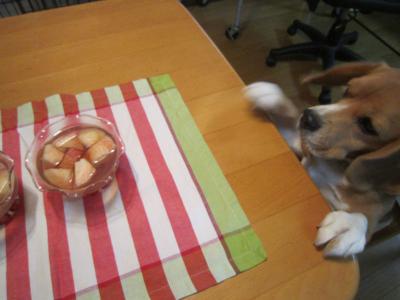 IMG_0031_20120810230645.jpg