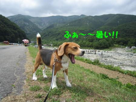 IMG_0038_20120814001945.jpg