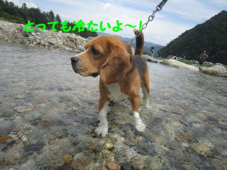 IMG_0040_20120814060758.jpg