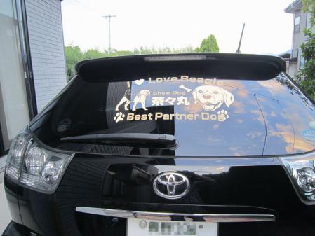 IMG_0045_20120907225638.jpg