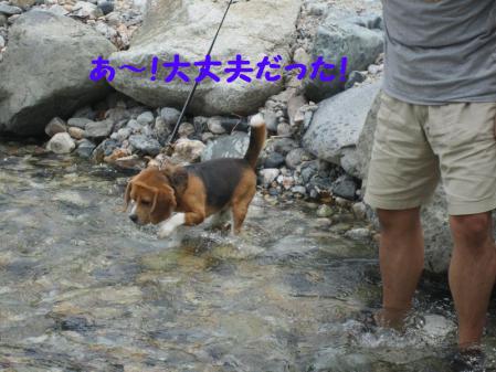 IMG_0051_20120814230505.jpg