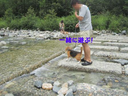 IMG_0057_20120815000339.jpg