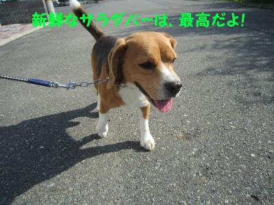 IMG_0058_20120711234651.jpg