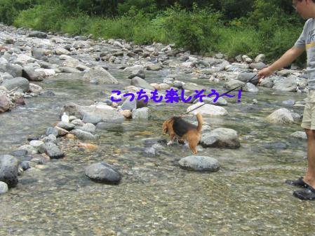 IMG_0058_20120814230741.jpg