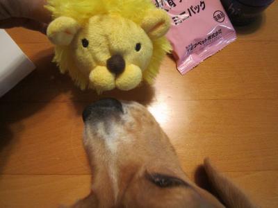 IMG_0059_20120517220906.jpg