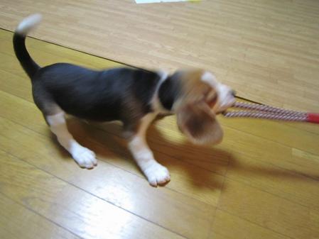 IMG_0069_20120909175807.jpg