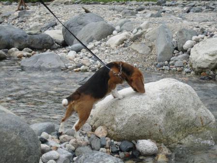 IMG_0071_20120815000338.jpg