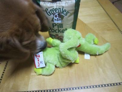IMG_0077_20120714111034.jpg