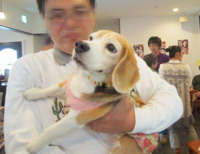 IMG_0097_20120514232149.jpg