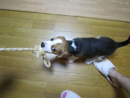 IMG_0102_20120911225508.jpg