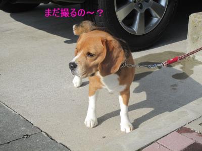IMG_0119_20120426223235.jpg