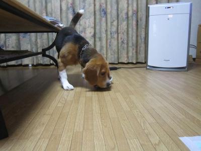 IMG_0120_20120624222027.jpg