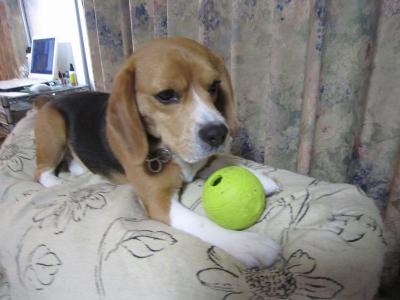 IMG_0138_20120624222025.jpg