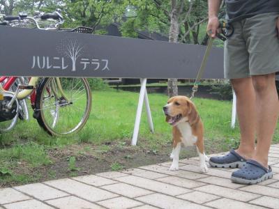 IMG_0148_20120716074953.jpg