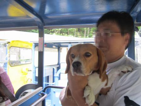 IMG_0167_20120829054645.jpg