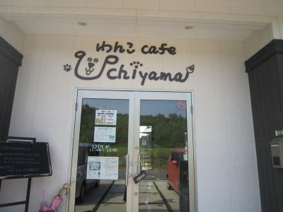 IMG_0241_20120802224429.jpg