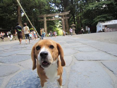 IMG_0241_20120826191614.jpg