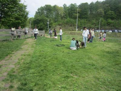 IMG_0260.jpg
