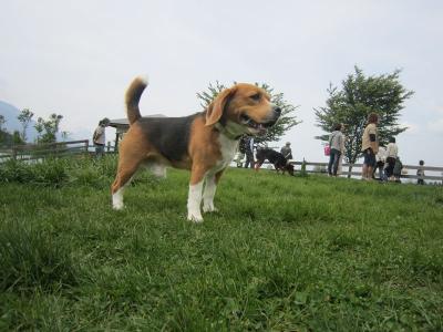 IMG_0266.jpg